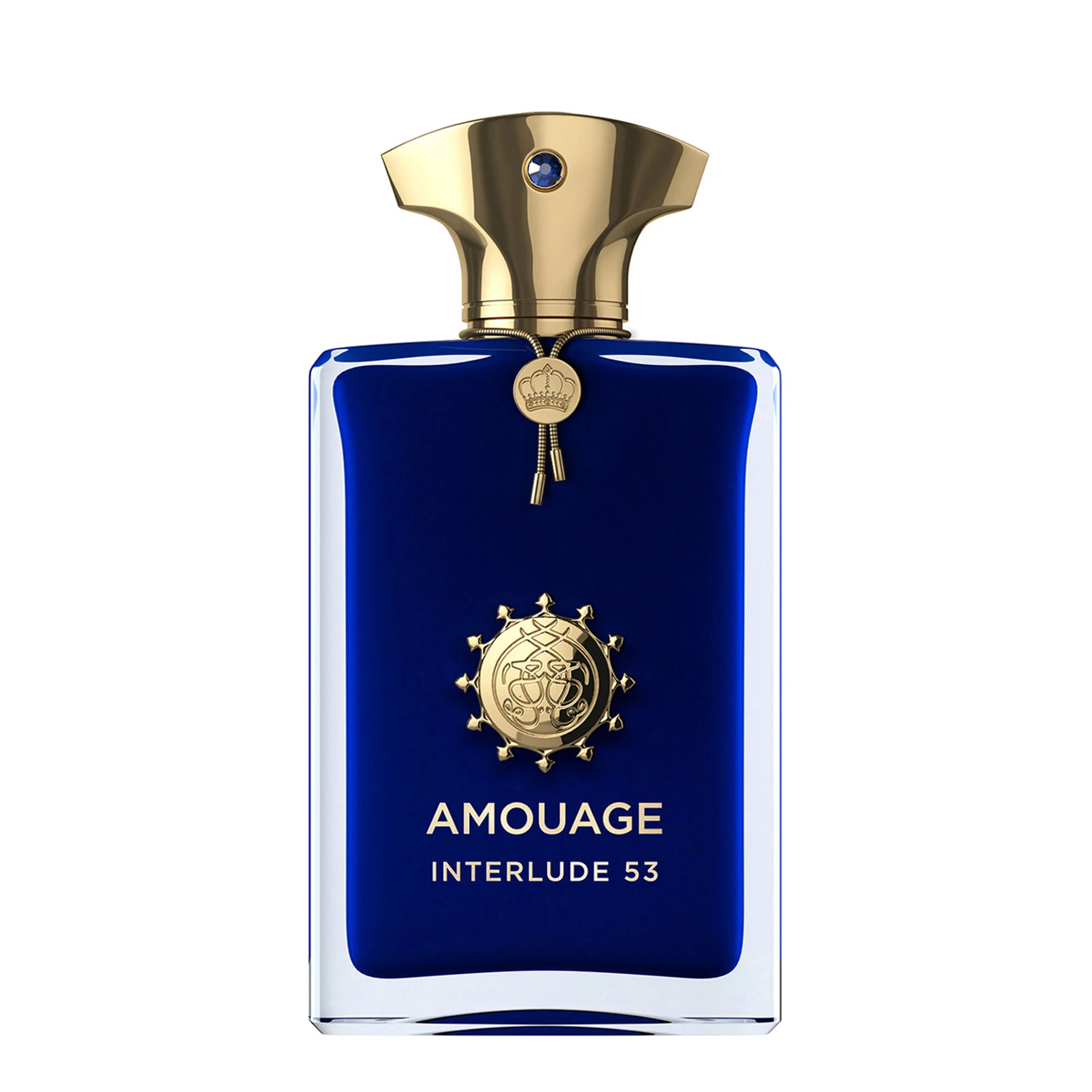Amouage Interlude 53 Man 100 ml Parfum Spray
