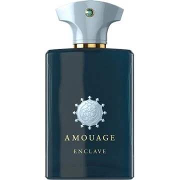Amouage Enclave Man 100 ml Eau de Parfum Spray (uitlopend)