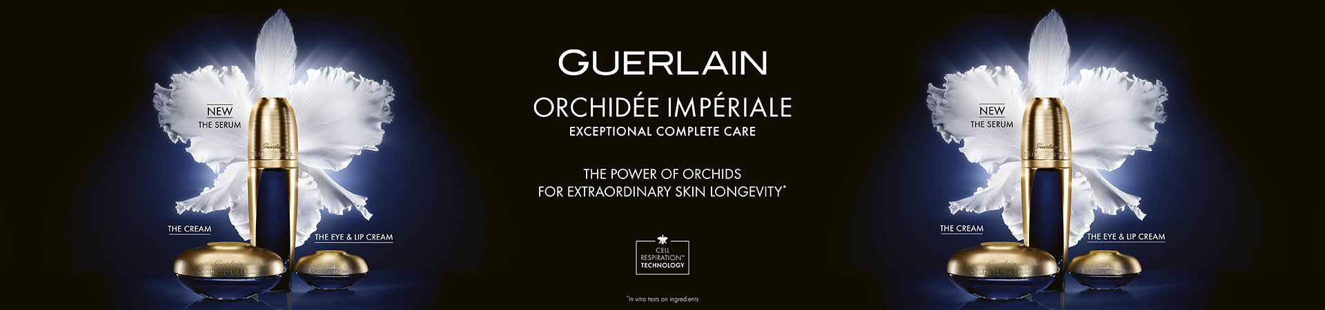 Orchidée Impériale Orchidée Impériale