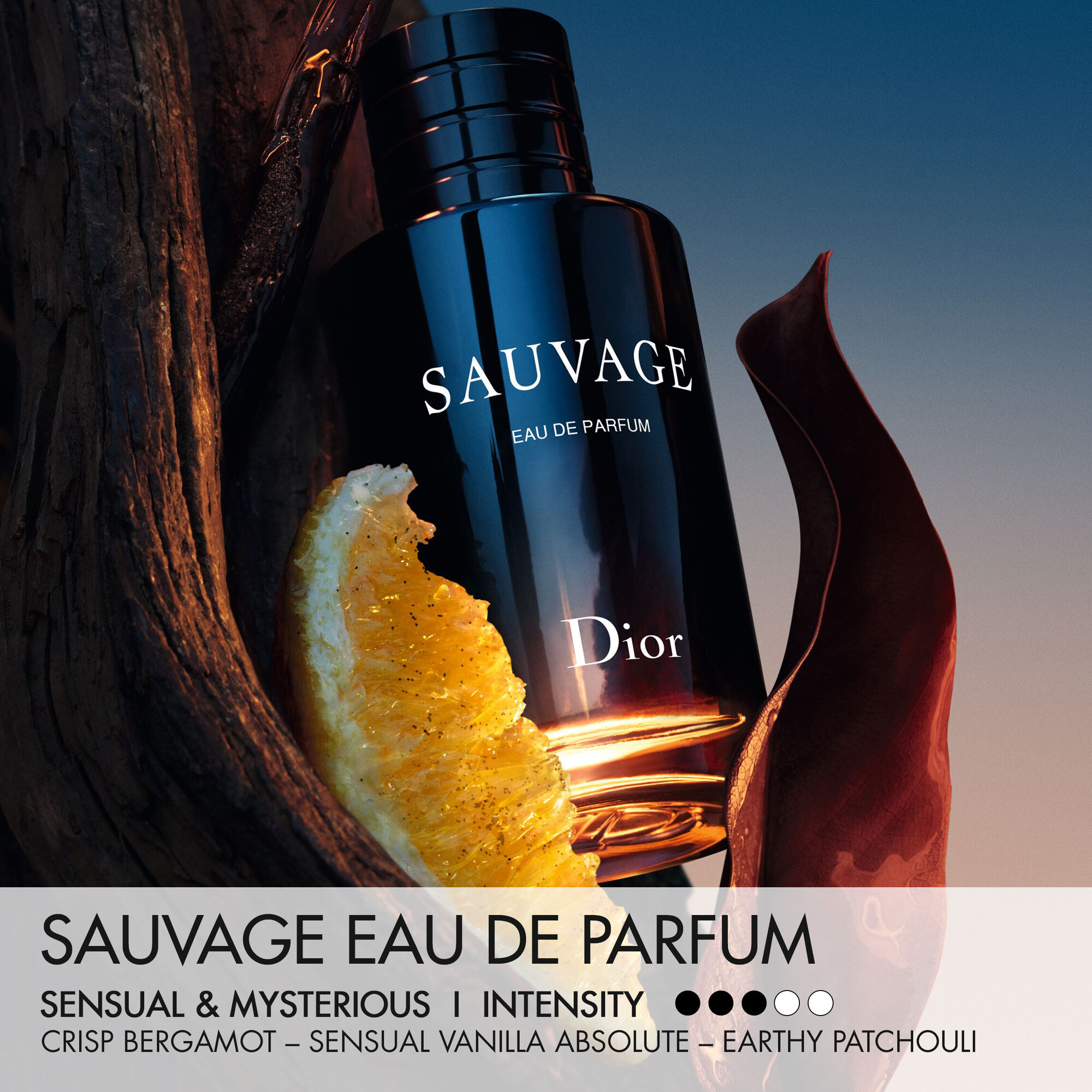 Sauvage 100 ml eau de parfum van DIOR | Parfumerie.be