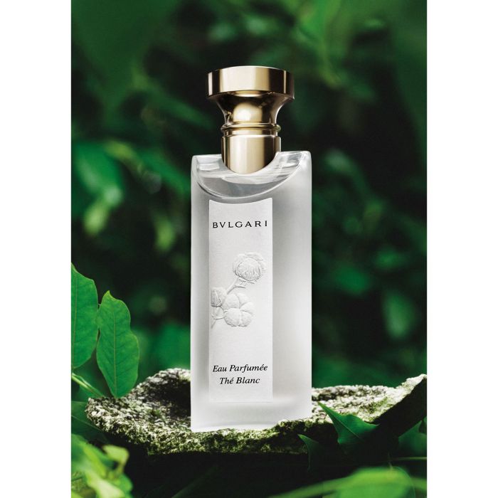 Bvlgari Eau Parfumeé Thé Blanc Kopen | Parfumerie.be