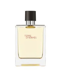 Hermes Terre d'Hermes Eau de Toilette Spray