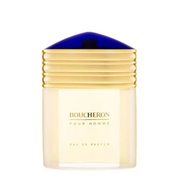 Boucheron Pour Homme 100 ml Eau de Parfum Spray