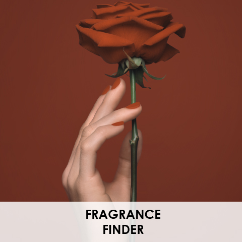 Dior fragrance finder